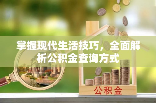 黎平掌握现代生活技巧，全面解析公积金查询方式
