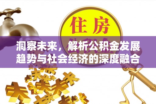 黎平洞察未来，解析公积金发展趋势与社会经济的深度融合